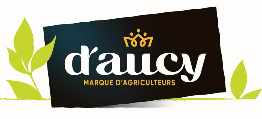 Logo marque d'aucy