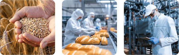 Profit-3pict-agroalimentaire Profit 3pict agroalimentaire